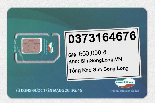 0373164676
