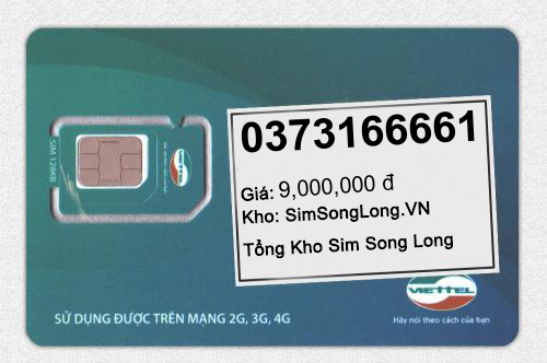 0373166661