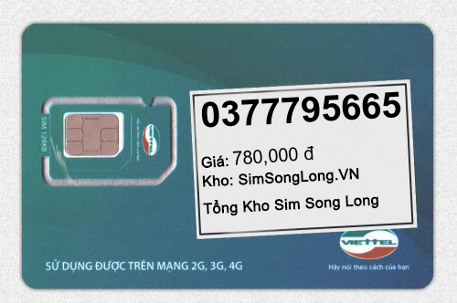 0377795665