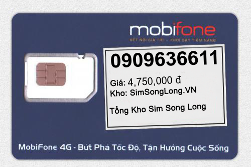 0909636611