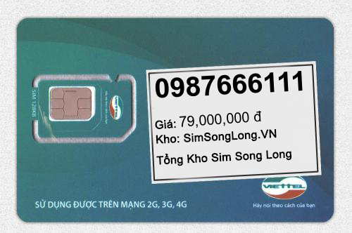 0987666111
